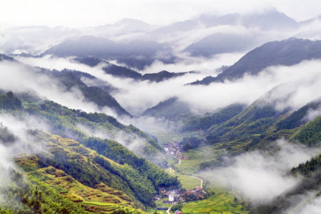 武当山千里峭壁奇遇：偶遇灵兽飞鼠的神秘之旅